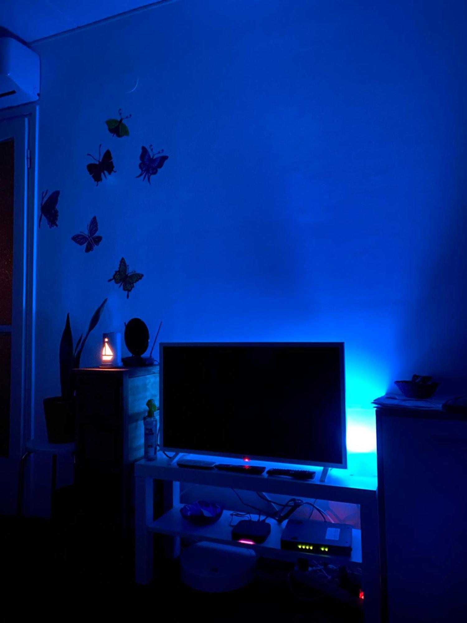 Apartment Colorful Urban Oasis