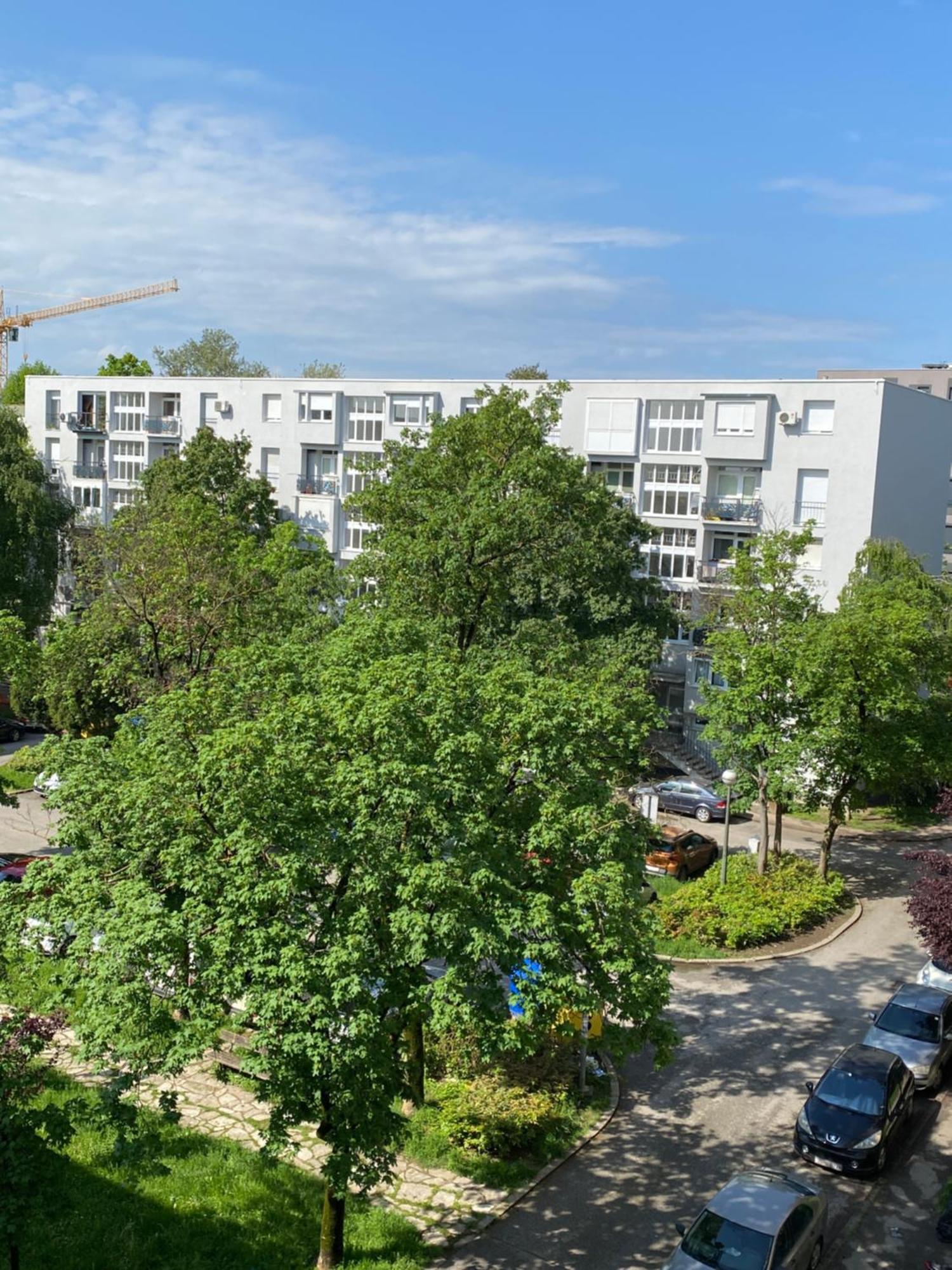 Colorful Urban Oasis Apartment Zagreb